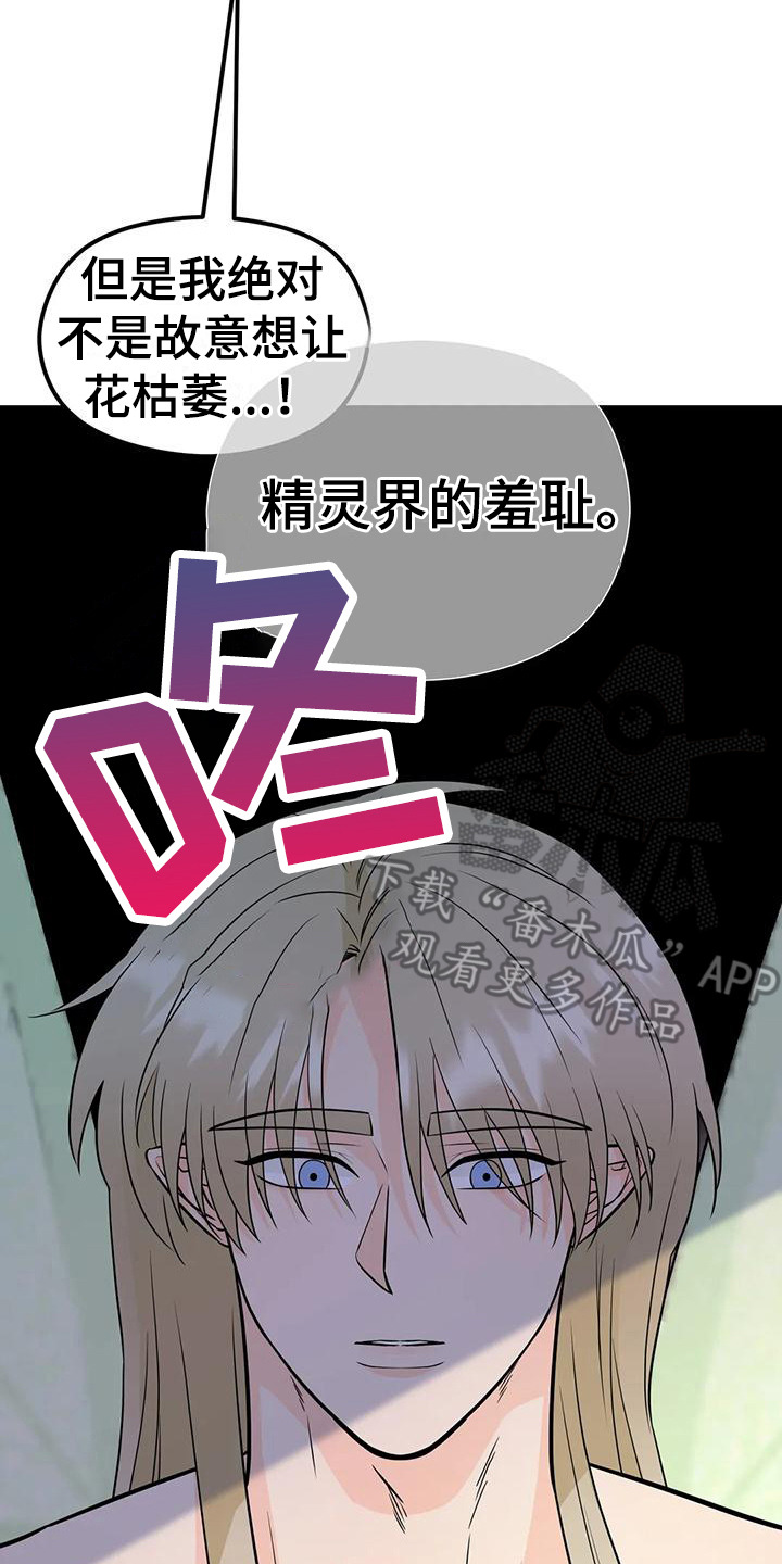 第6章：生命之花14