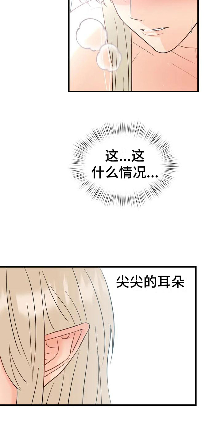 第3章：精灵5