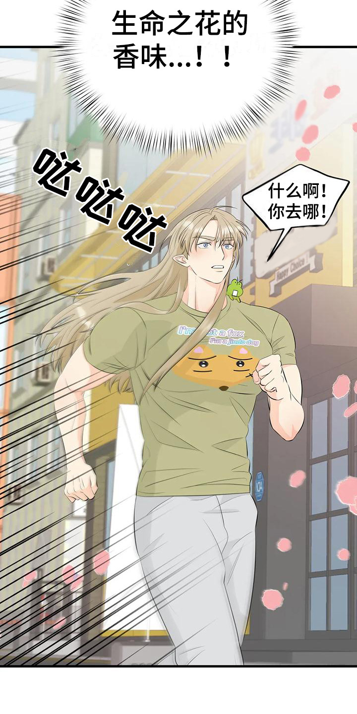 第9章：香味12