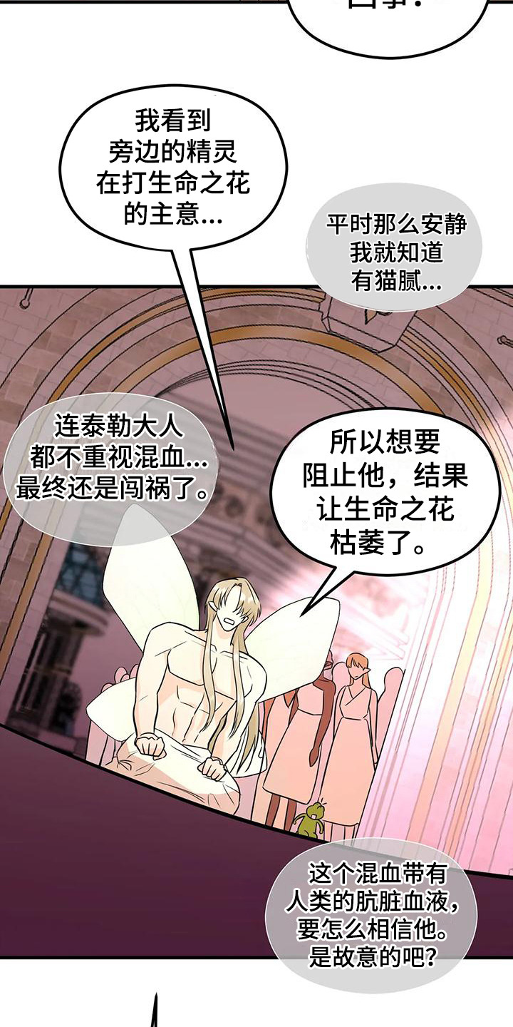 第6章：生命之花13