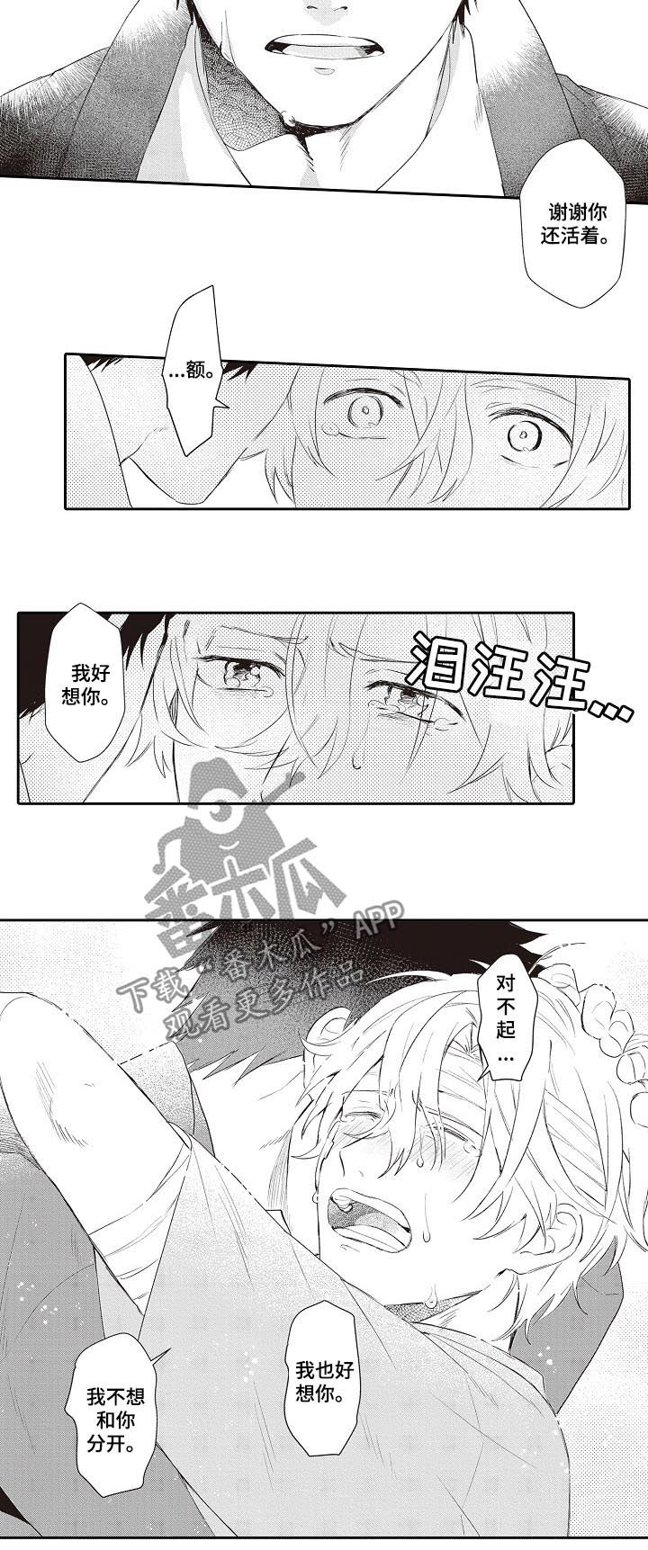 第26章：照片8