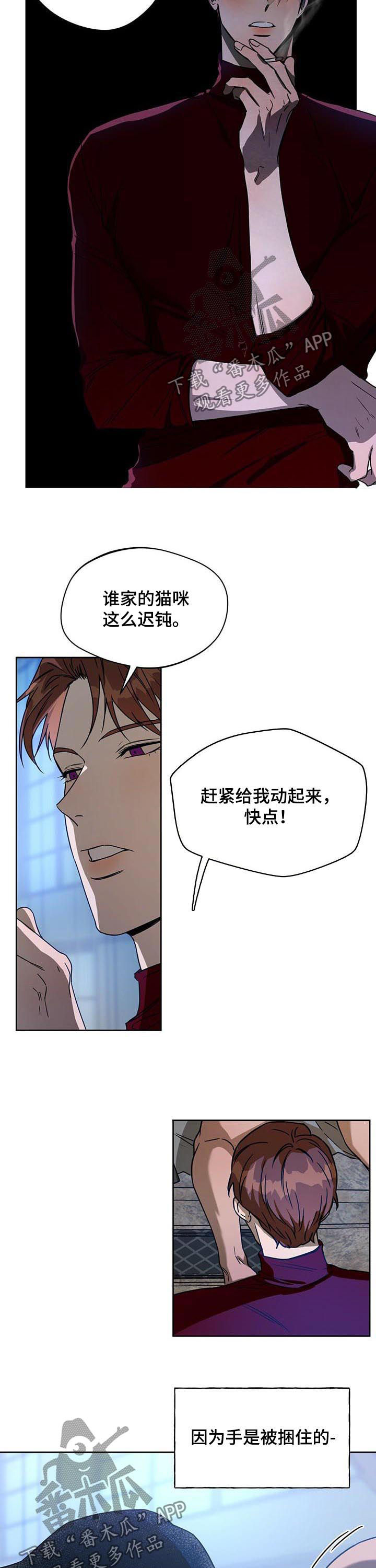 第67章：迟钝8