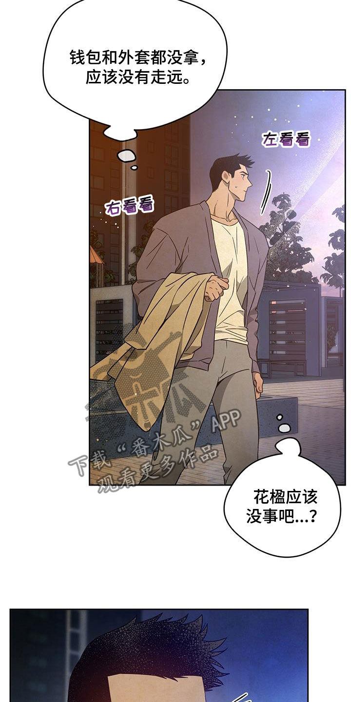 第142章：【第三季】忙碌23