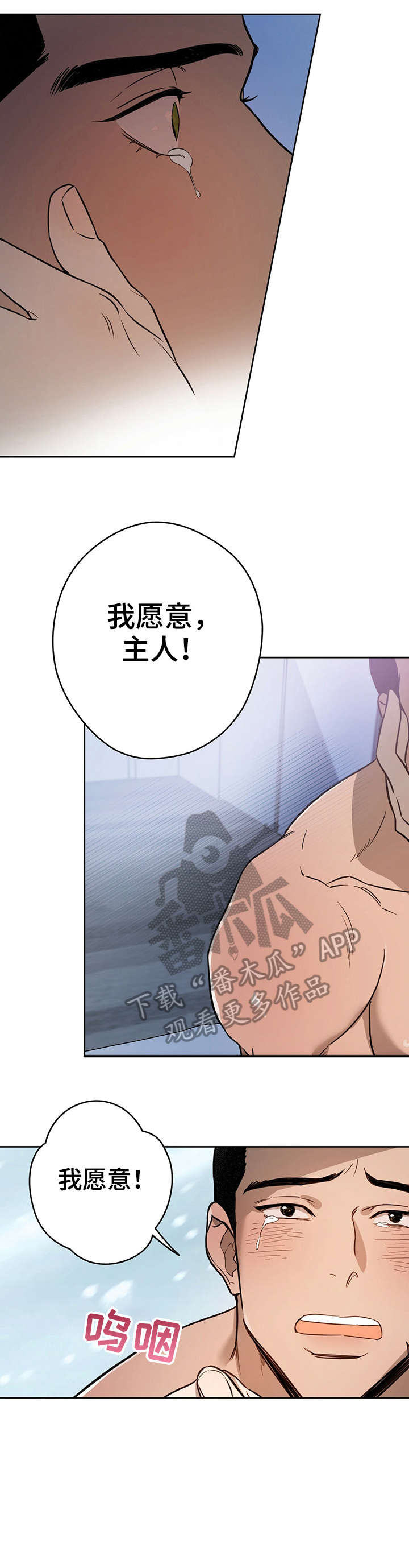 第22章：专属5
