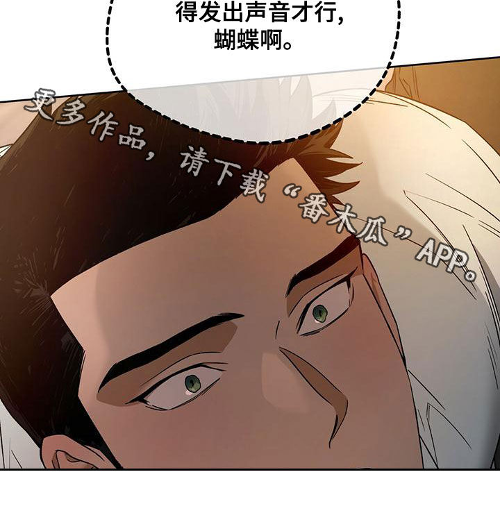 第135章：【第三季】转移视线23