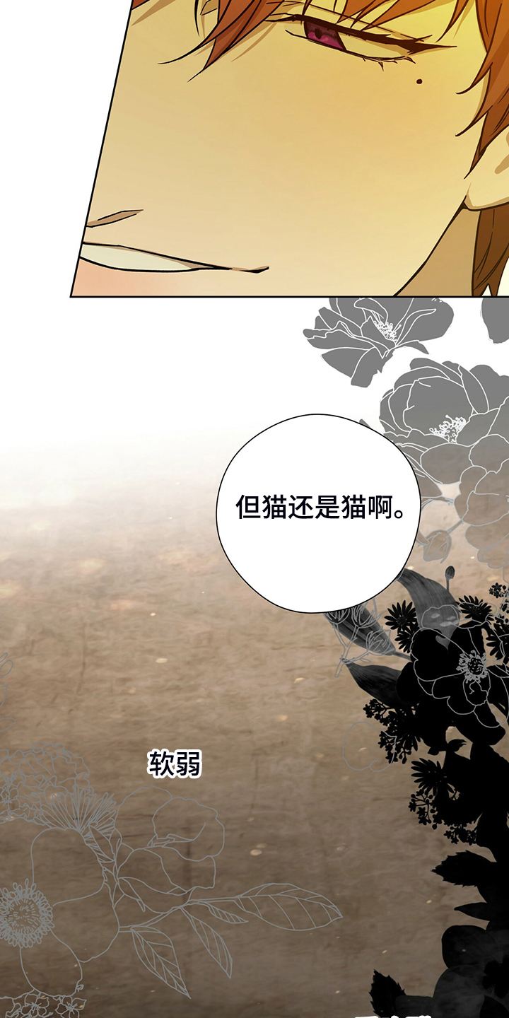第113章：【第二季】轮到你了17
