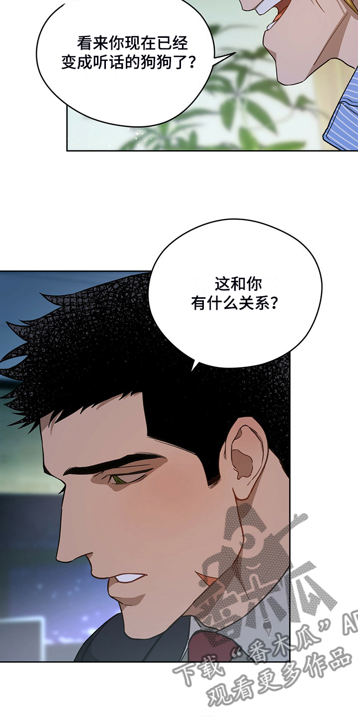 第120章：【第二季】看猫12