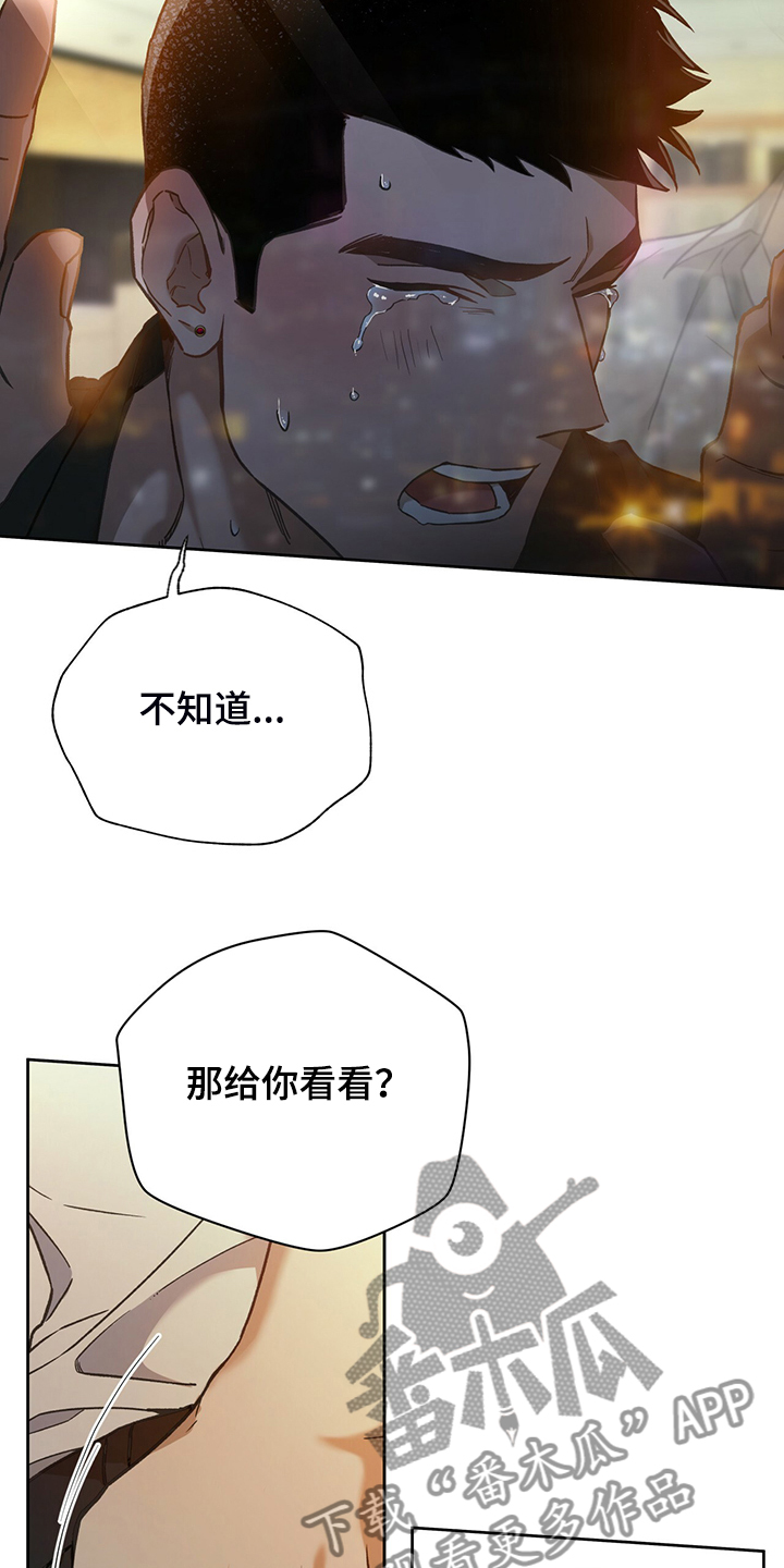 第115章：【第二季】看到了什么？11