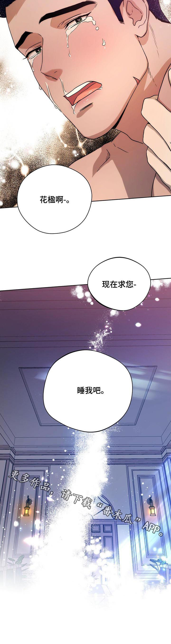 第68章：双数11