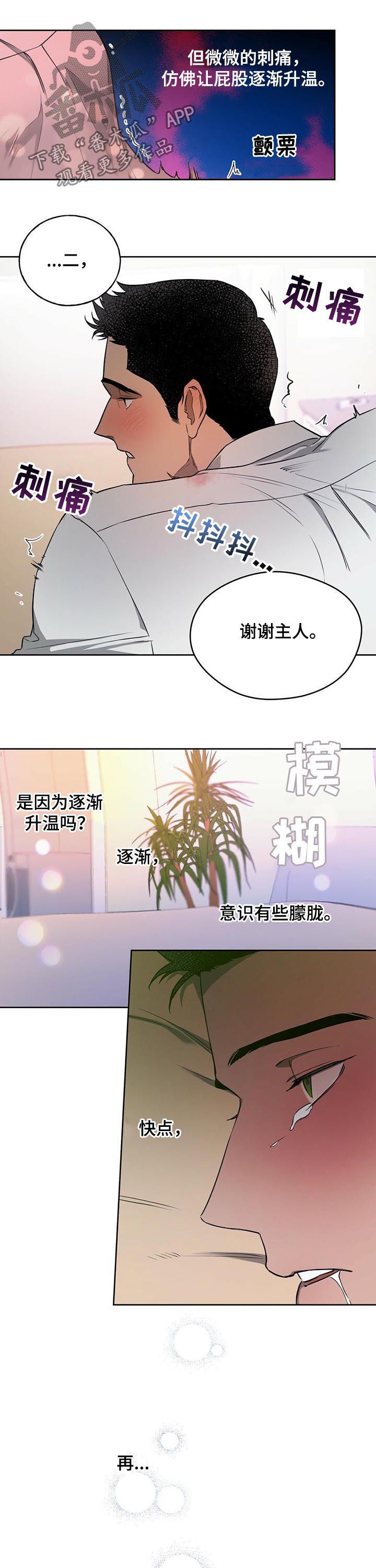 第32章：不是错觉6