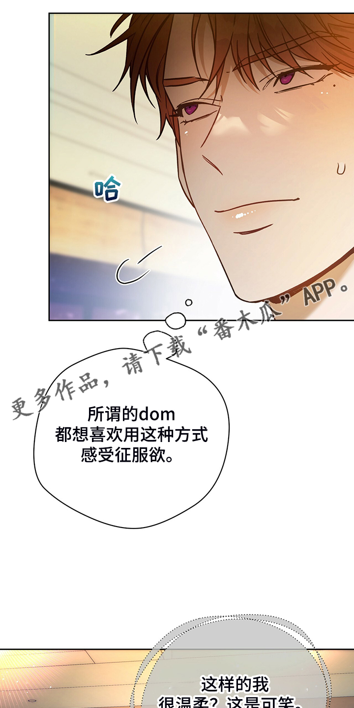 第115章：【第二季】看到了什么？0