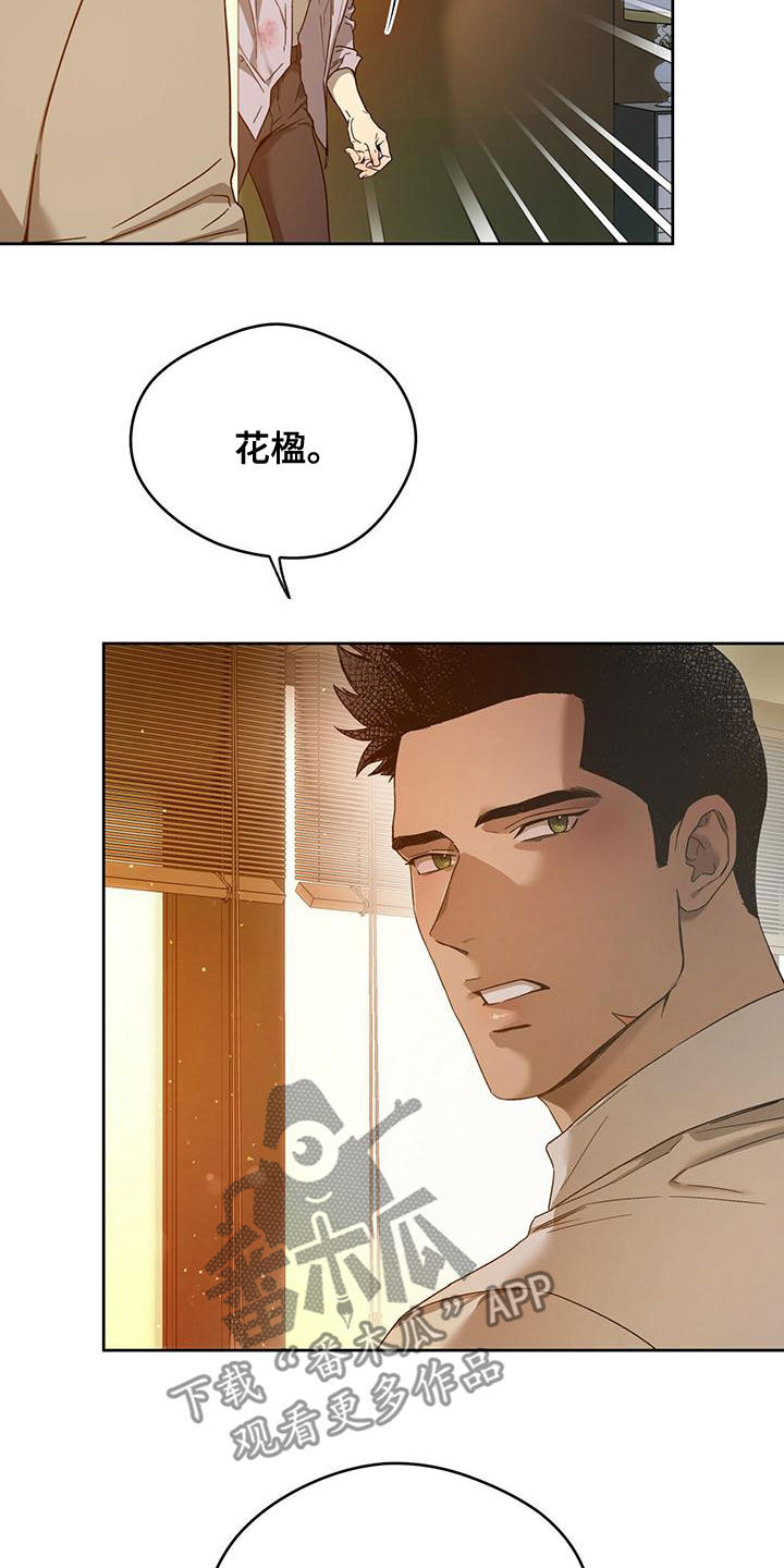 第135章：【第三季】转移视线5