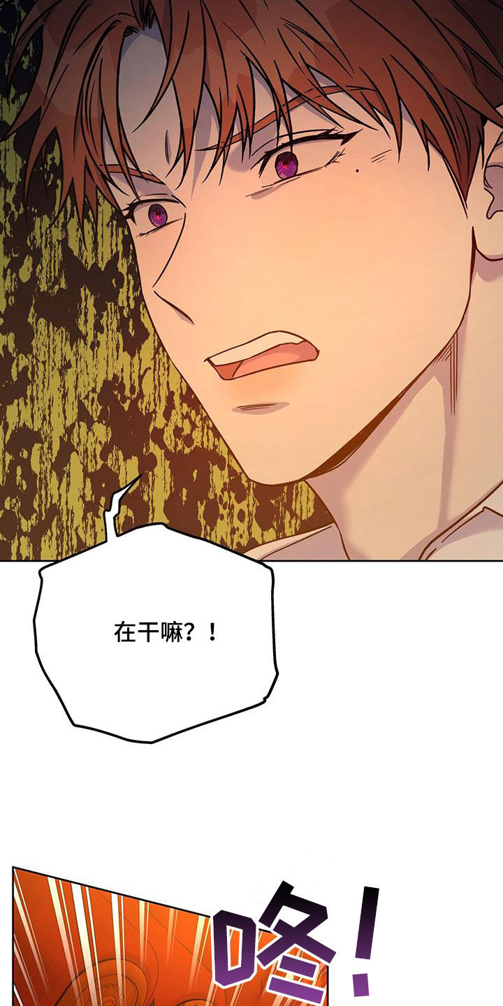 第158章：【第三季】太珍贵了9
