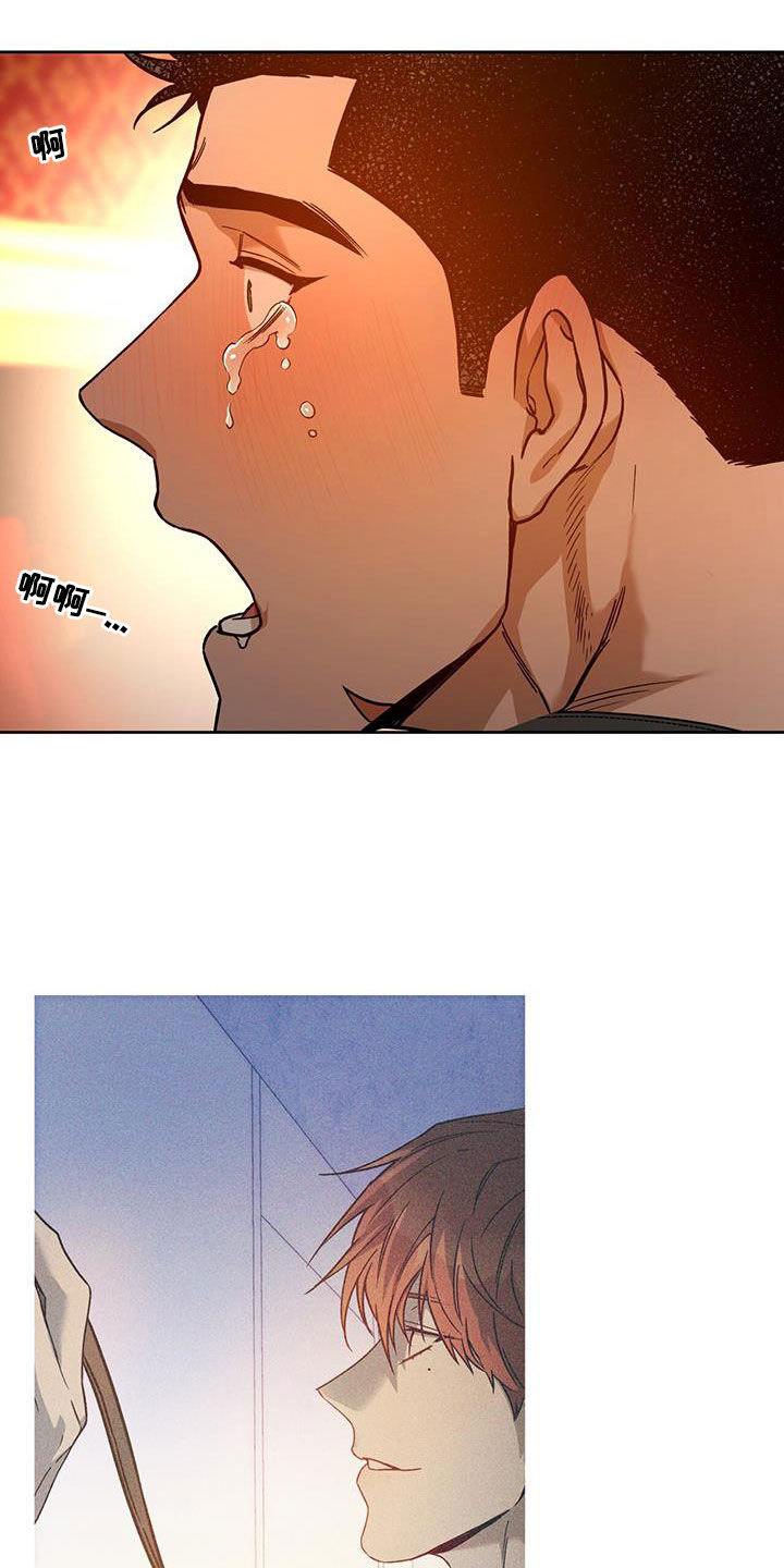 第158章：【第三季】太珍贵了14