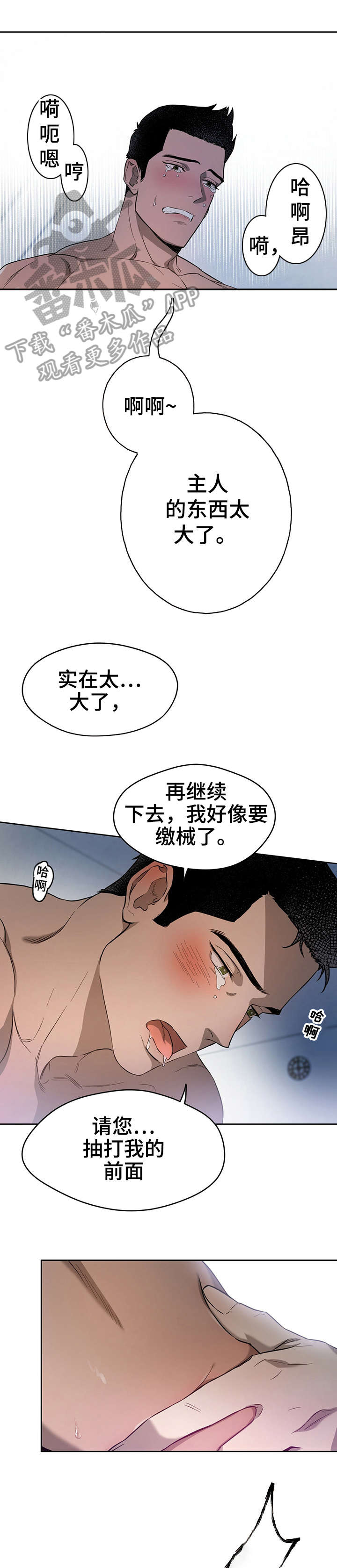 第23章：小猫咪7