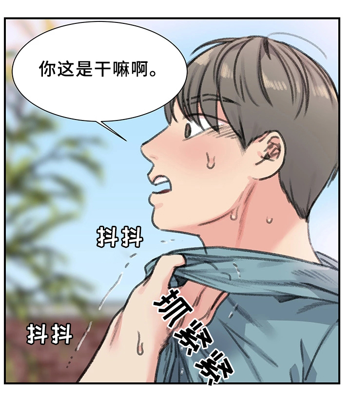 第37章：我都看到了17