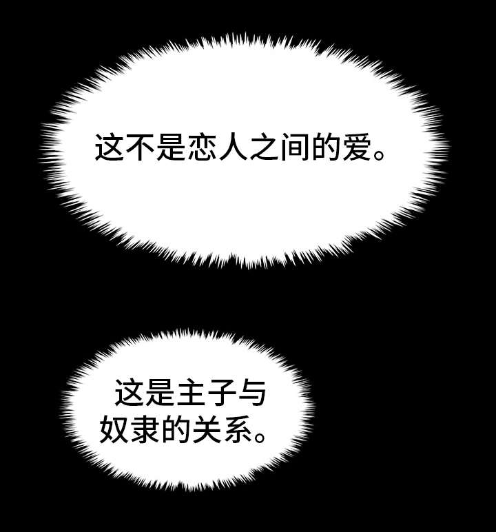 第28章：奴隶17