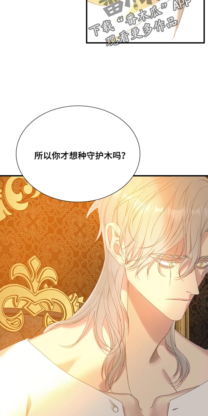 第54章：守护木9