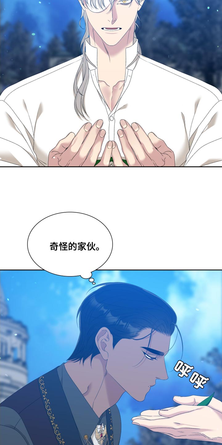 第38章：精灵17