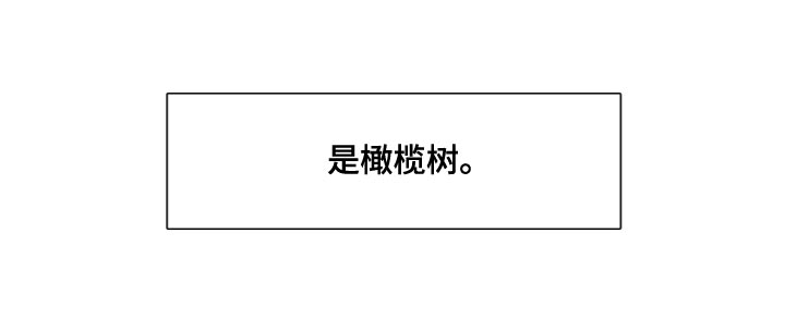 第34章：橄榄树20