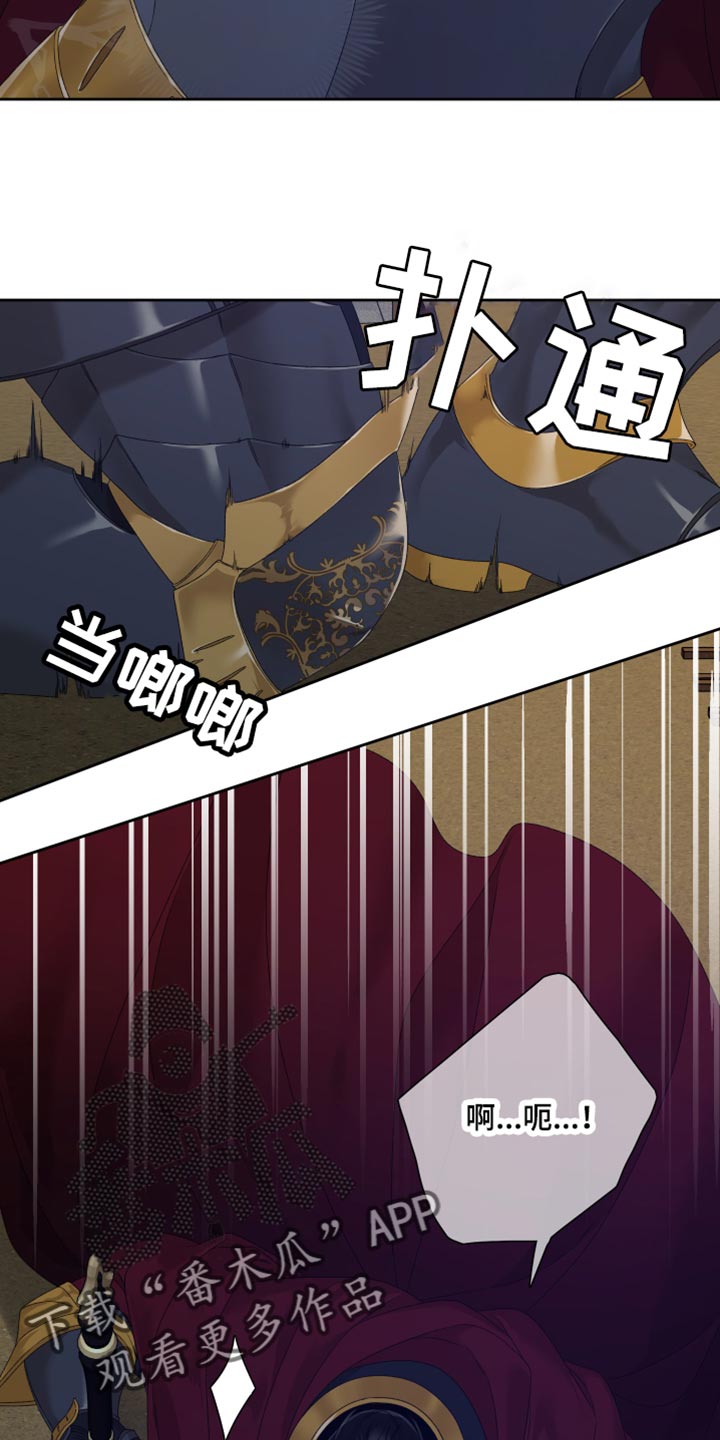 第41章：战斗19