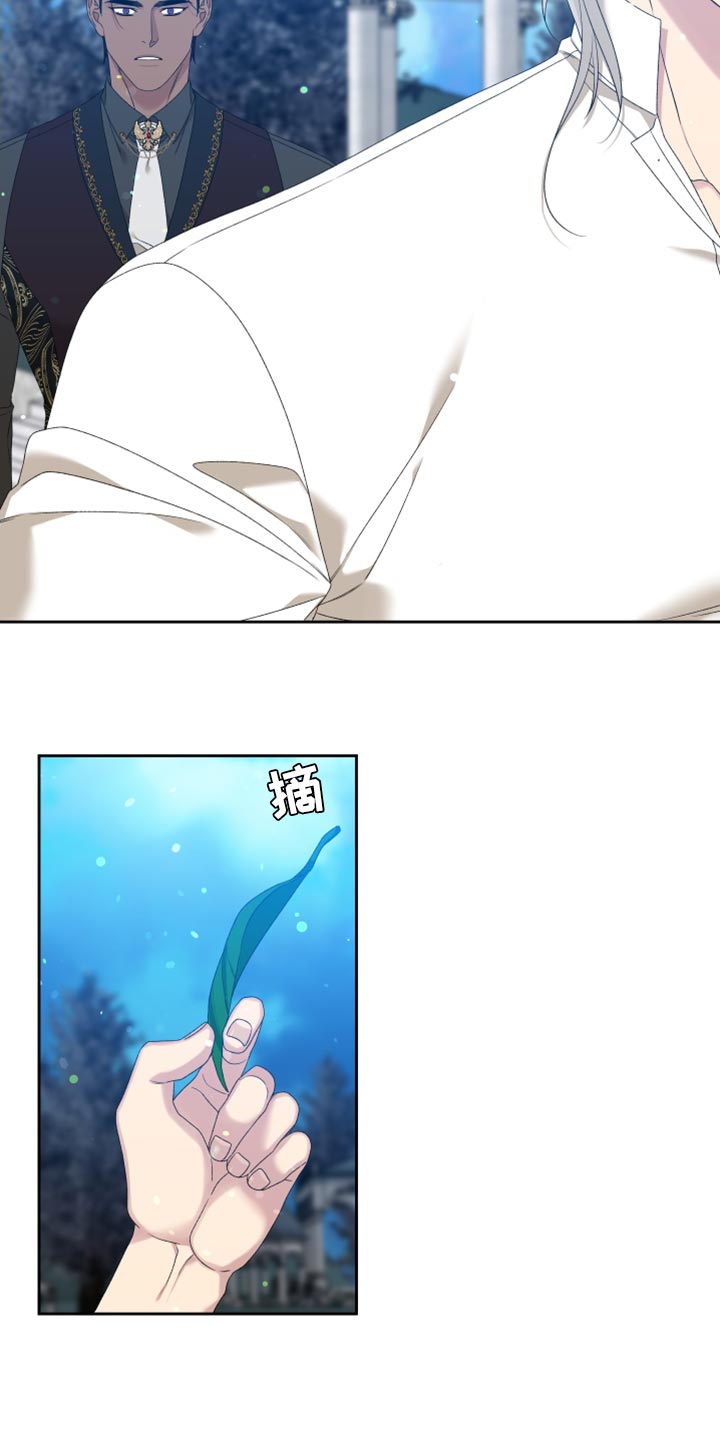 第38章：精灵13