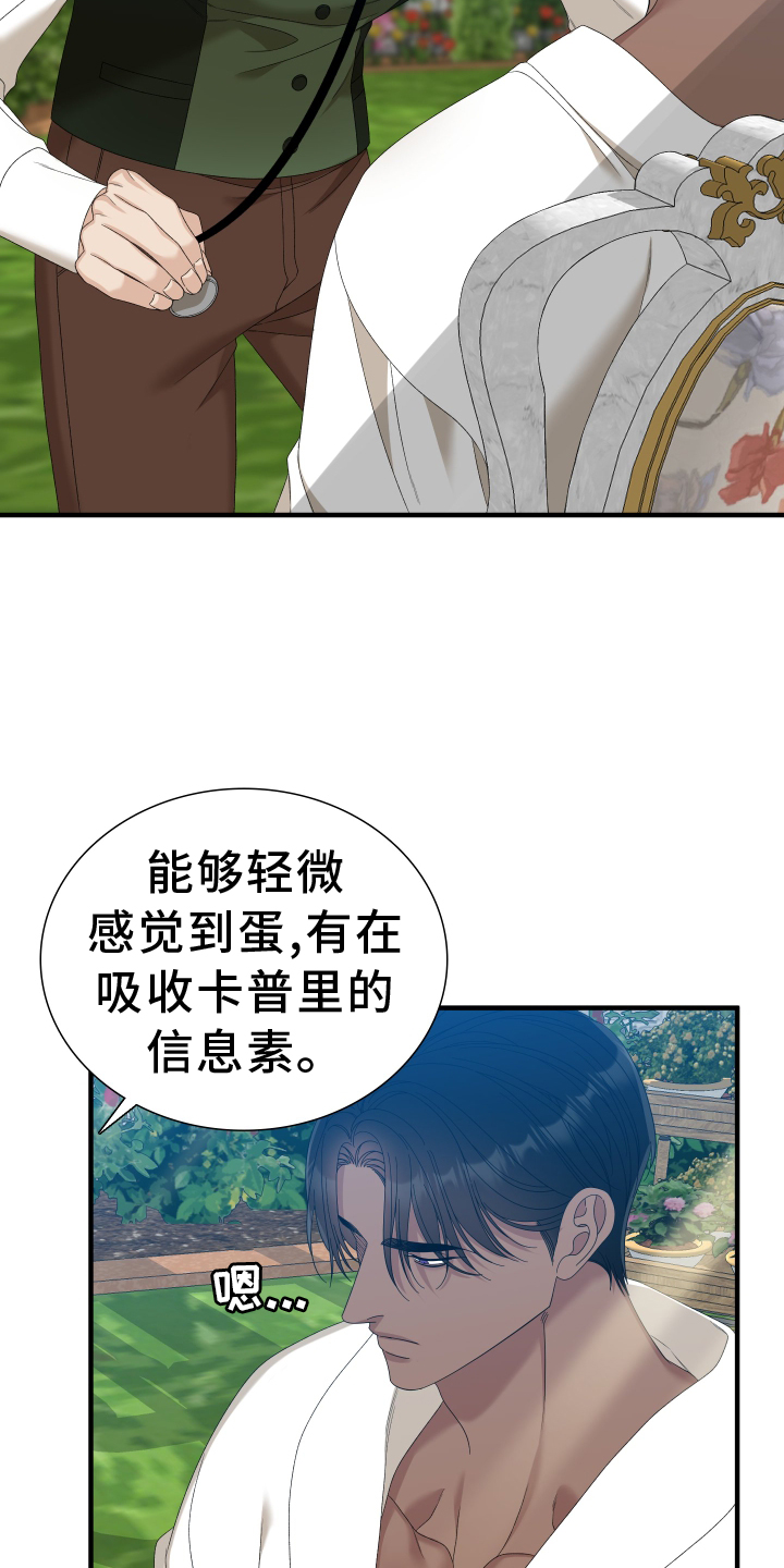 第84章：【第二季】祝福你2