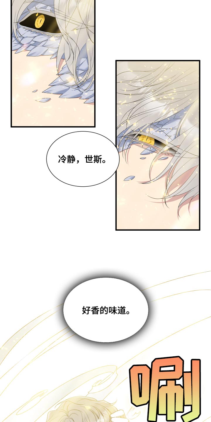 第53章：命运21