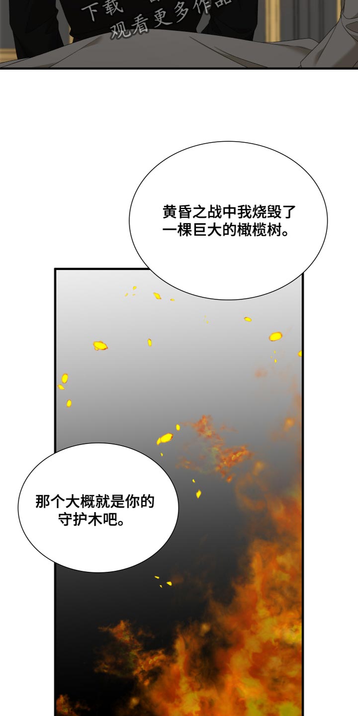 第54章：守护木13
