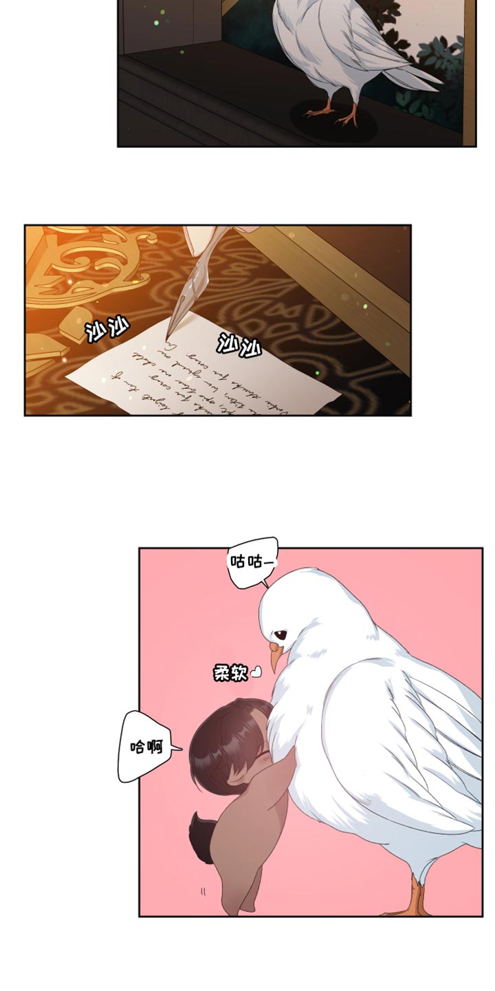 第42章：平安无事8