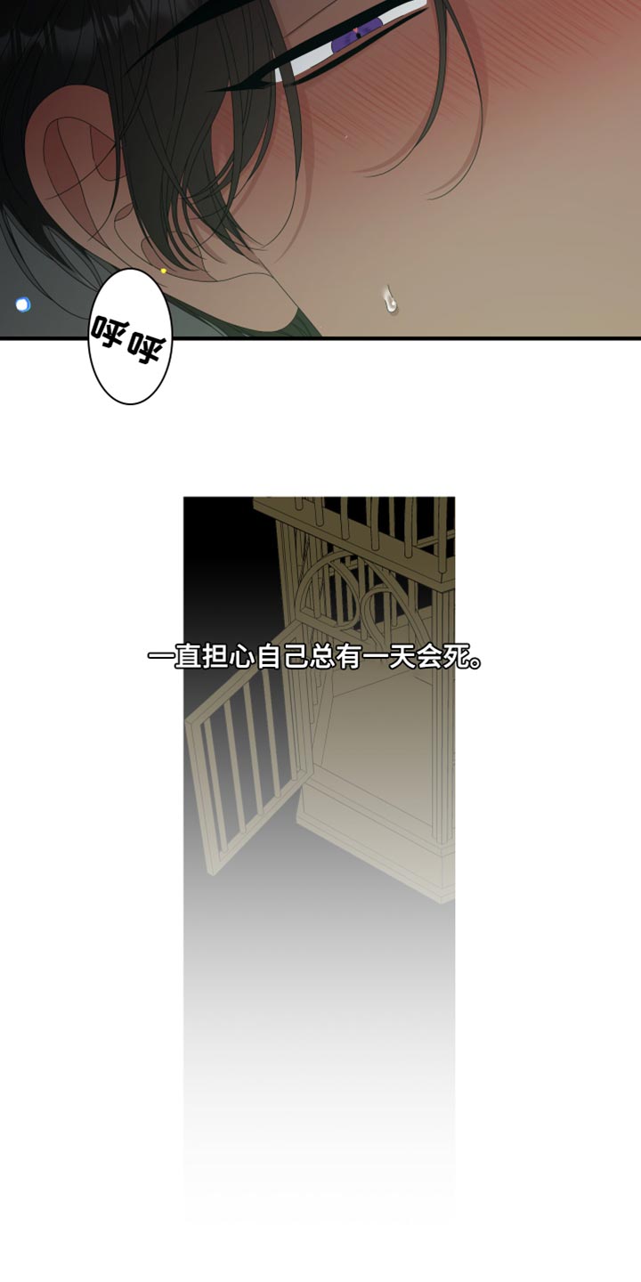 第65章：【第二季】不是这个名字4