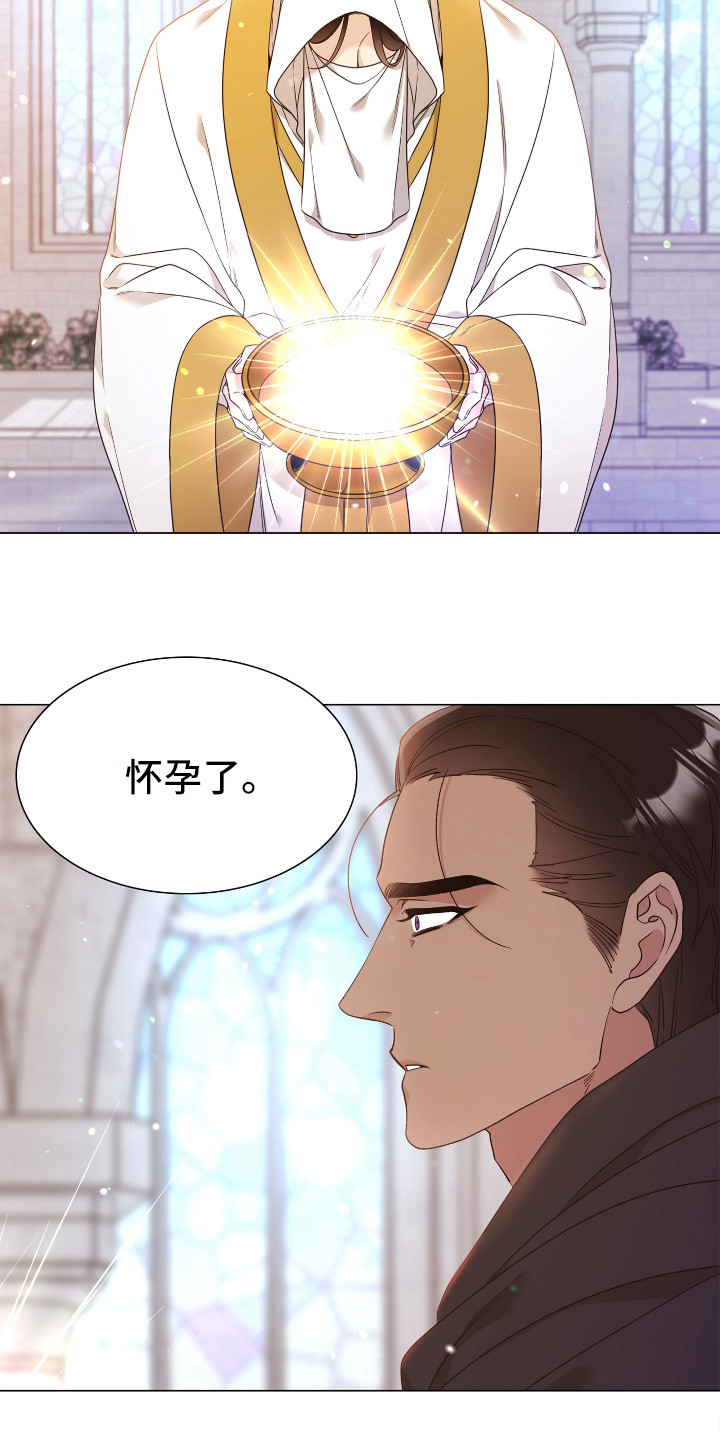 第6章：怀孕了15