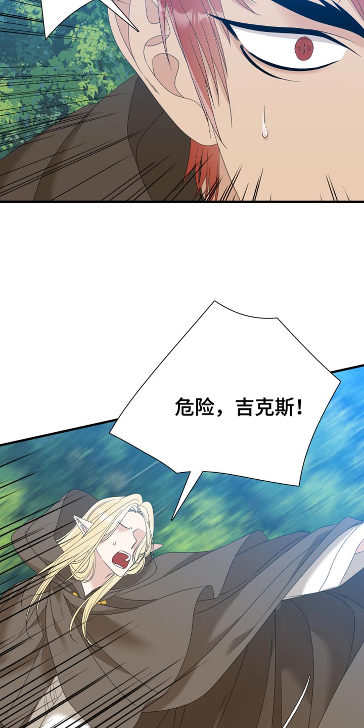 第67章：【第二季】斯朗的精灵16