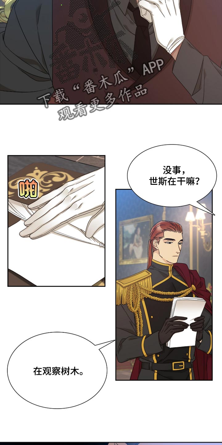 第15章：观察树木13