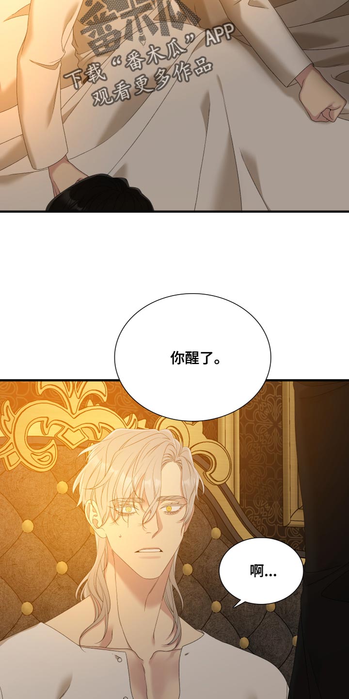 第54章：守护木6