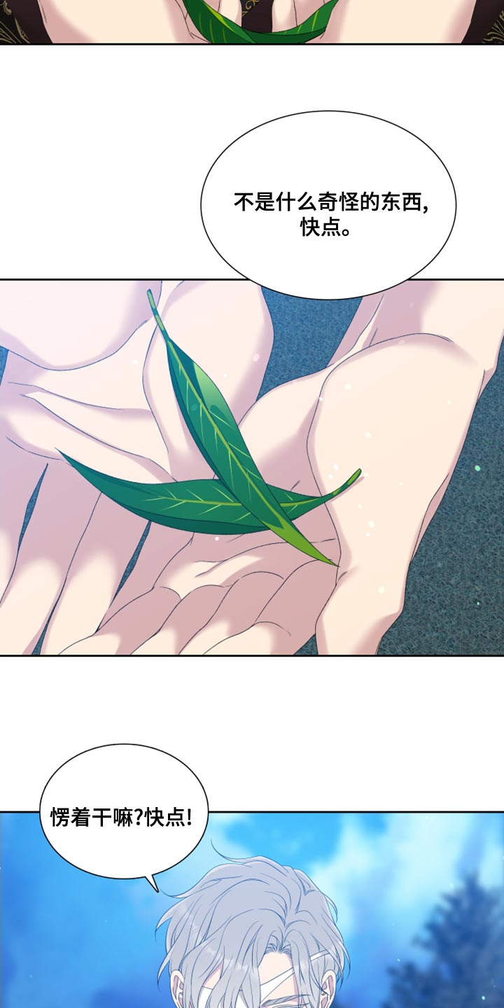 第38章：精灵16