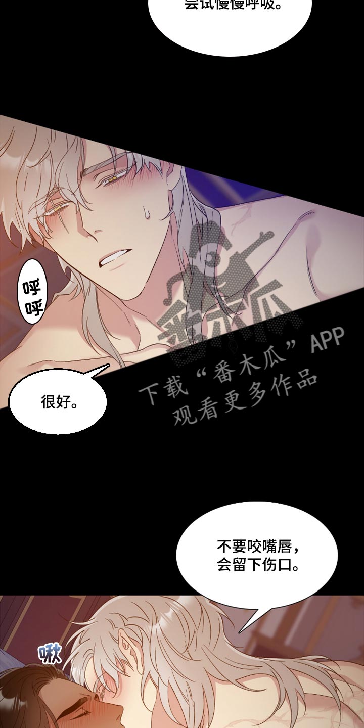 第15章：观察树木6