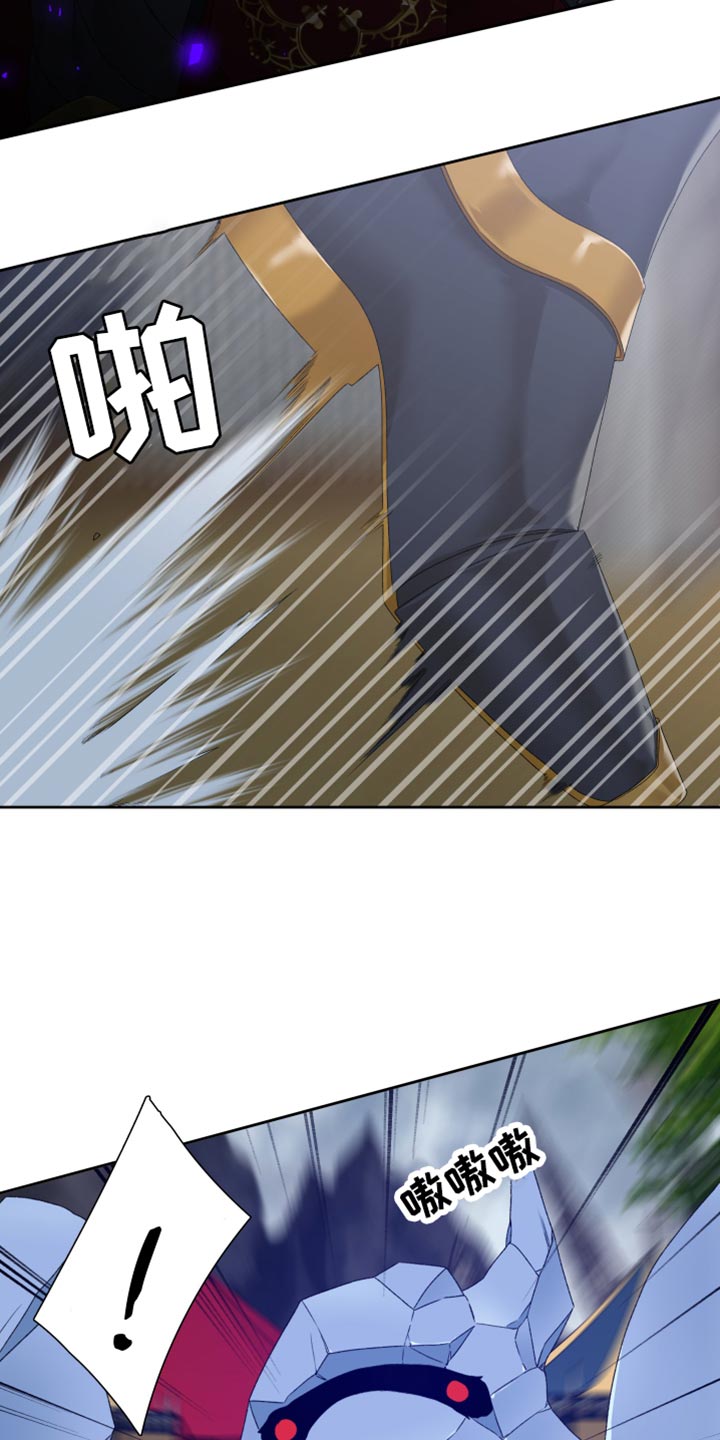 第41章：战斗9