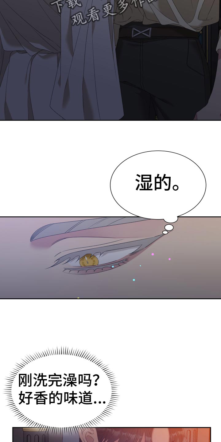 第47章：是我一直躲着他13