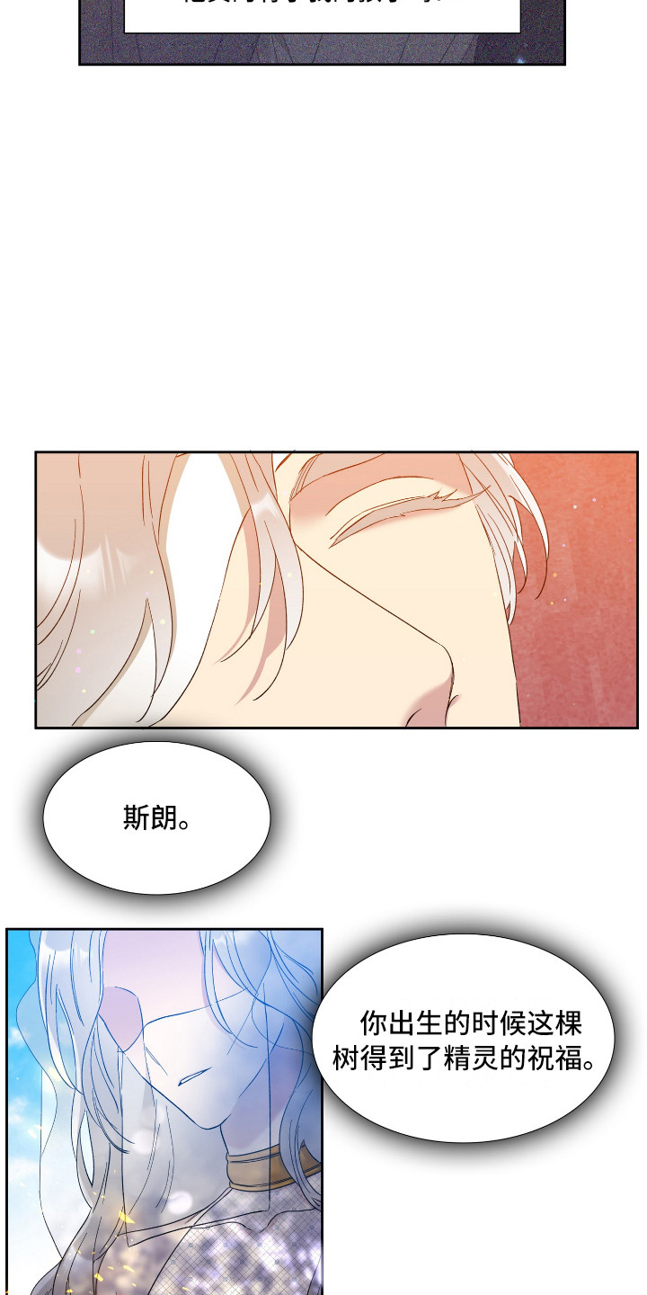 第11章：争论8