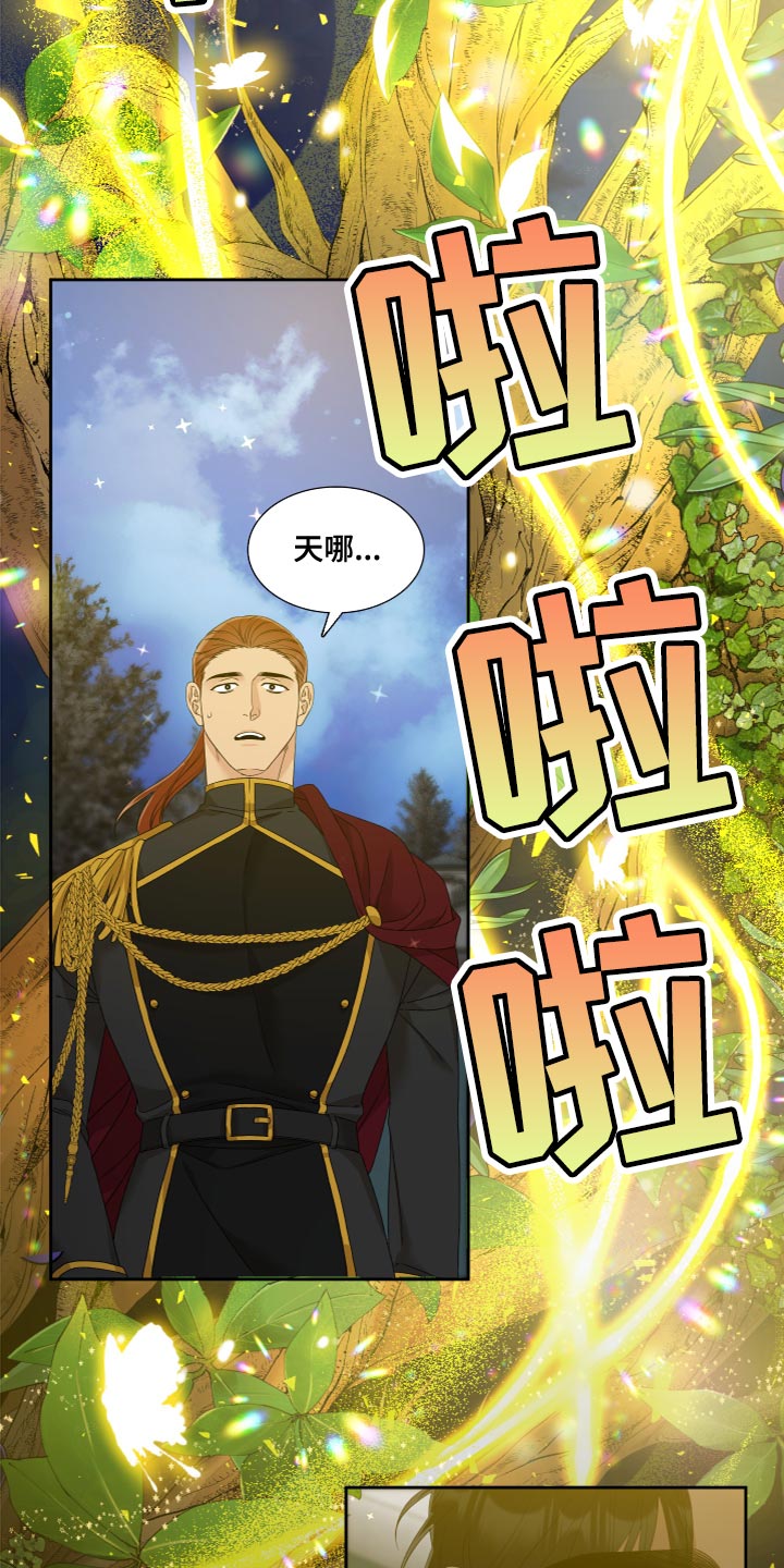 第34章：橄榄树15