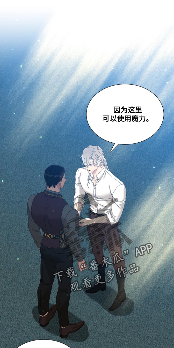 第38章：精灵14