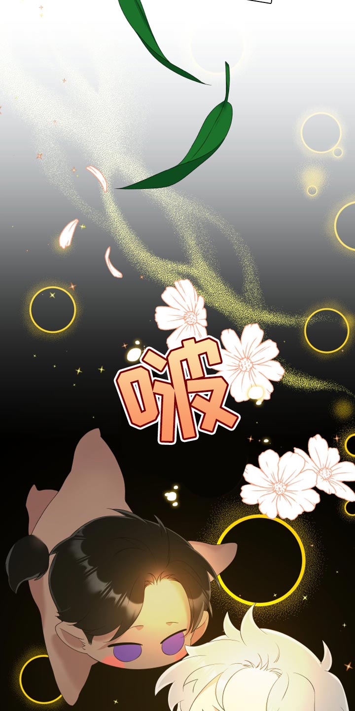 第38章：精灵23