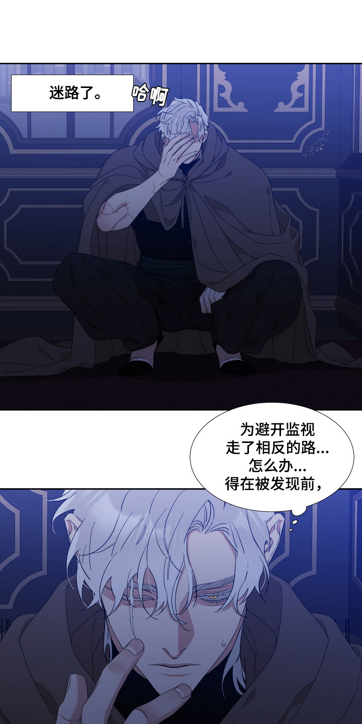 第3章：出逃14