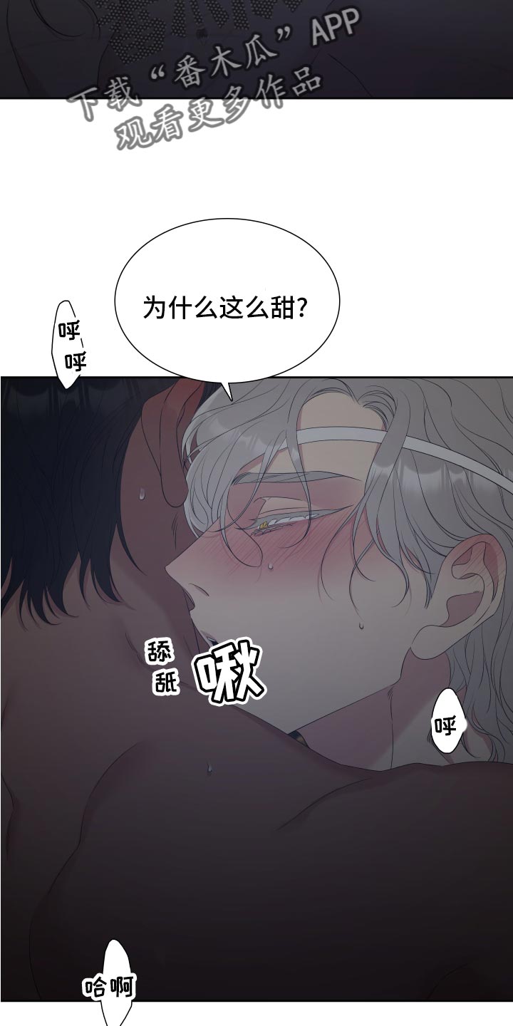 第31章：为什么这么甜11