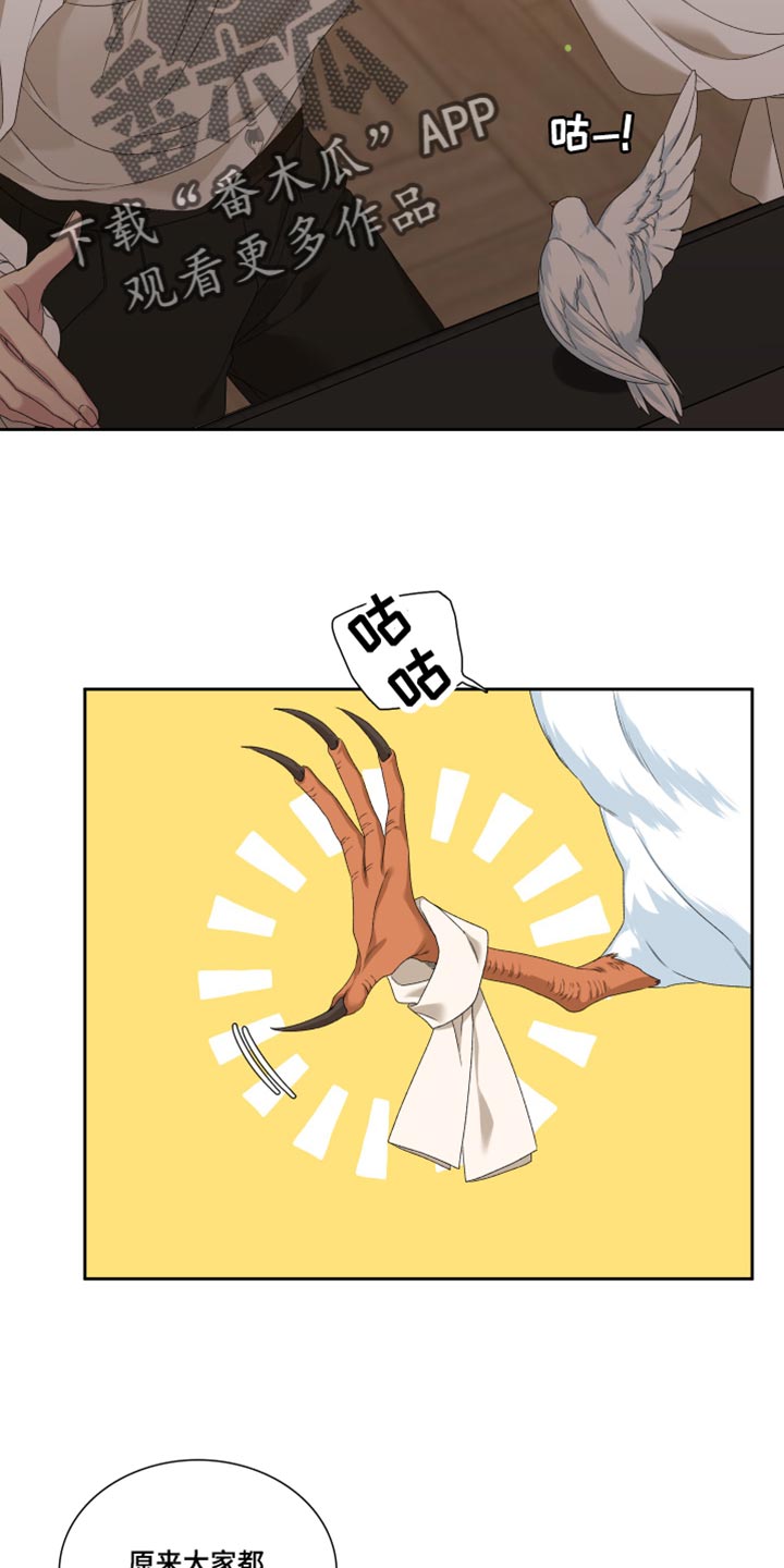第42章：平安无事6