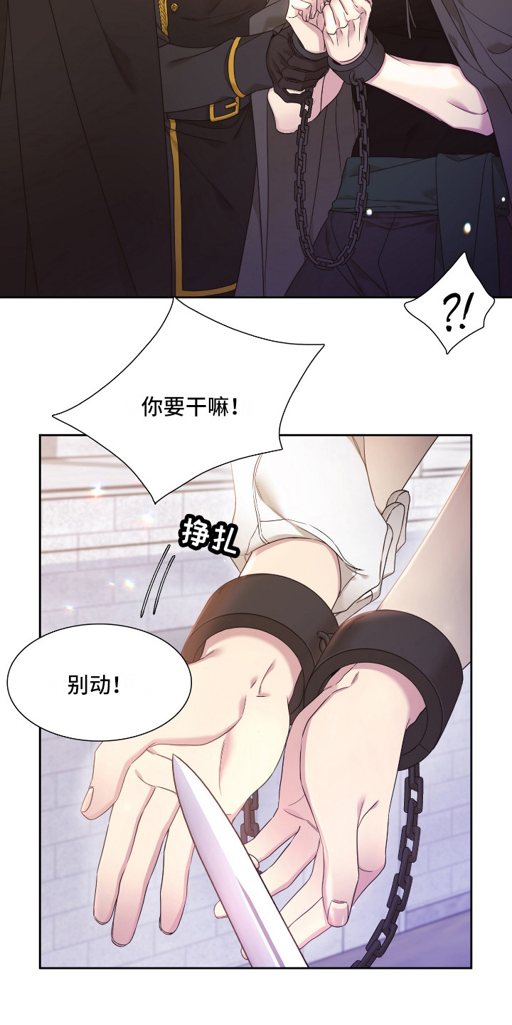 第6章：怀孕了11