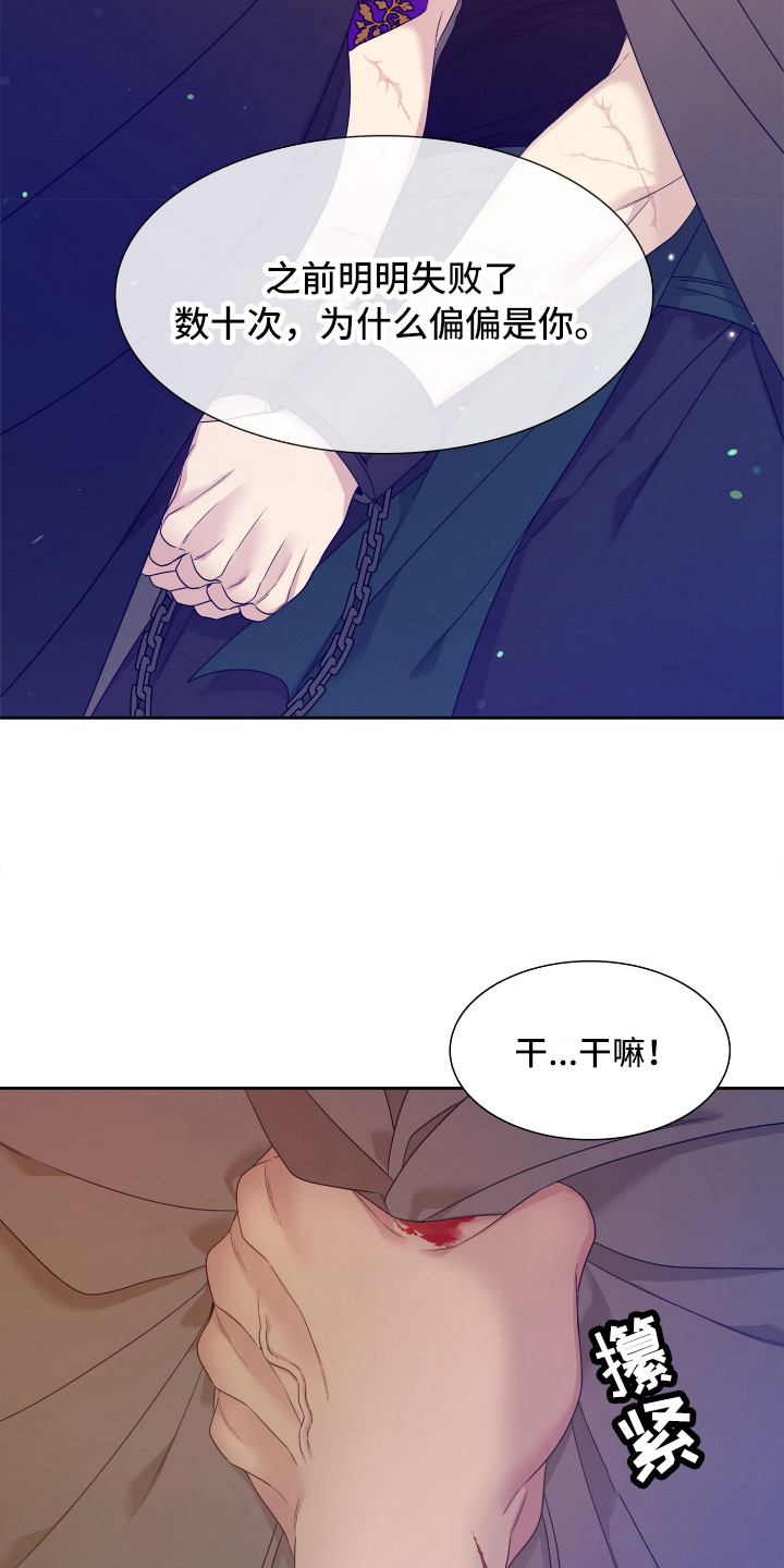 第7章：卡普里3