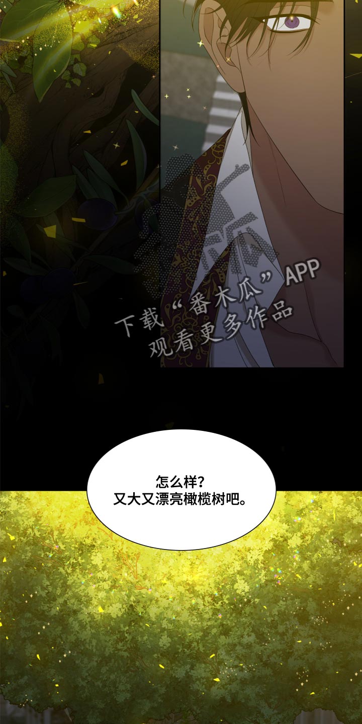 第34章：橄榄树16