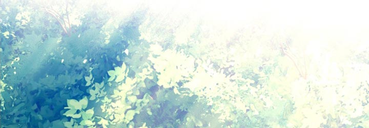 第38章：精灵11